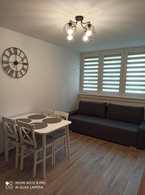 Apartament pod Szóstką